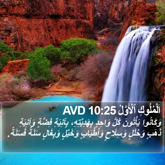 اَلْمُلُوكِ ٱلْأَوَّلُ 10:25 AVD Bible Study