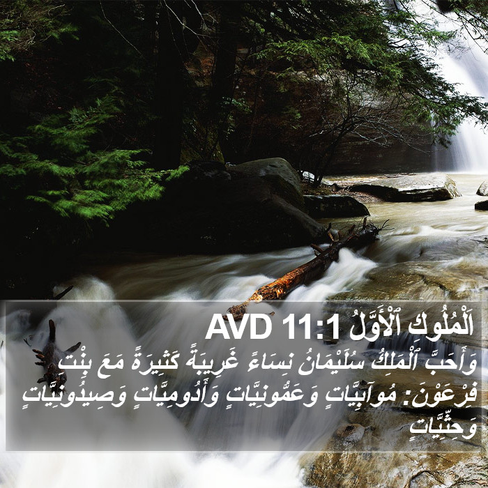 اَلْمُلُوكِ ٱلْأَوَّلُ 11:1 AVD Bible Study