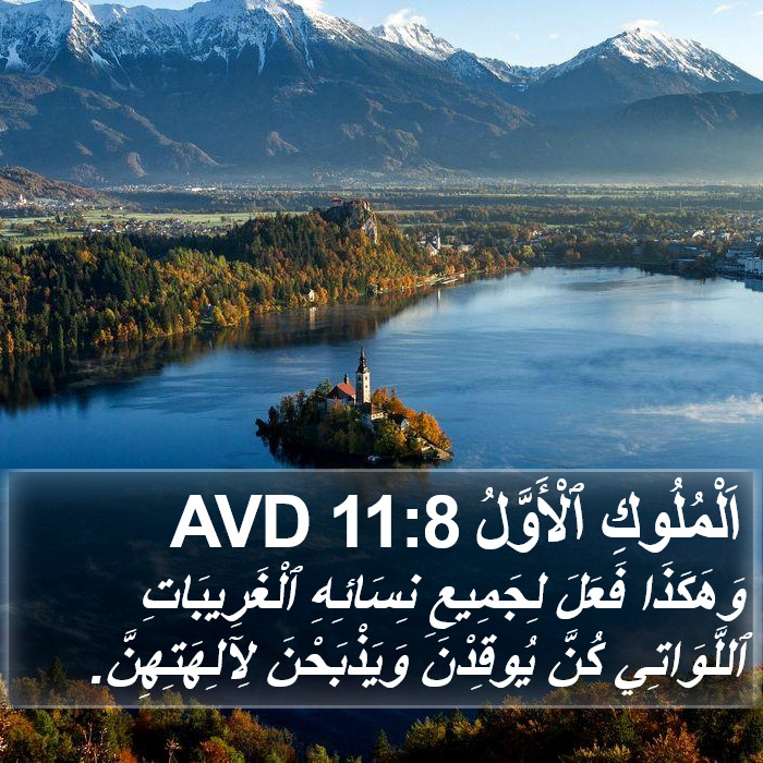 اَلْمُلُوكِ ٱلْأَوَّلُ 11:8 AVD Bible Study