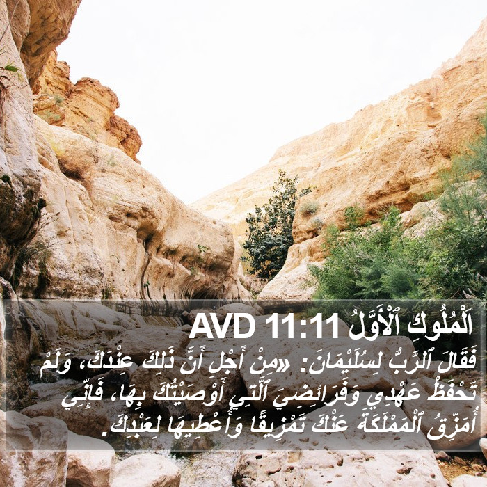 اَلْمُلُوكِ ٱلْأَوَّلُ 11:11 AVD Bible Study