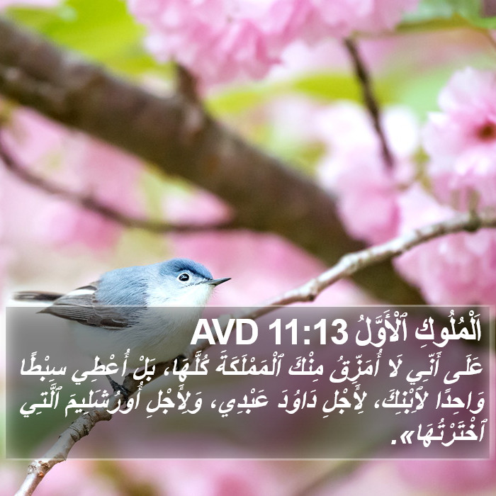 اَلْمُلُوكِ ٱلْأَوَّلُ 11:13 AVD Bible Study