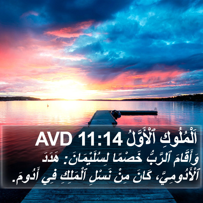 اَلْمُلُوكِ ٱلْأَوَّلُ 11:14 AVD Bible Study