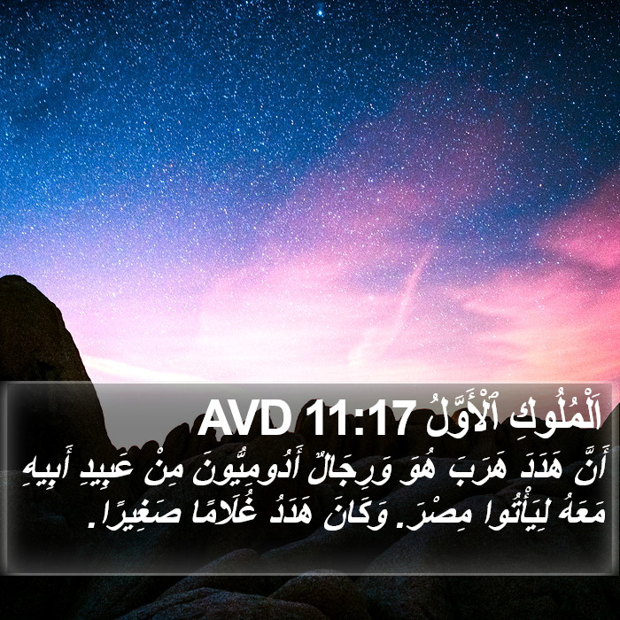 اَلْمُلُوكِ ٱلْأَوَّلُ 11:17 AVD Bible Study