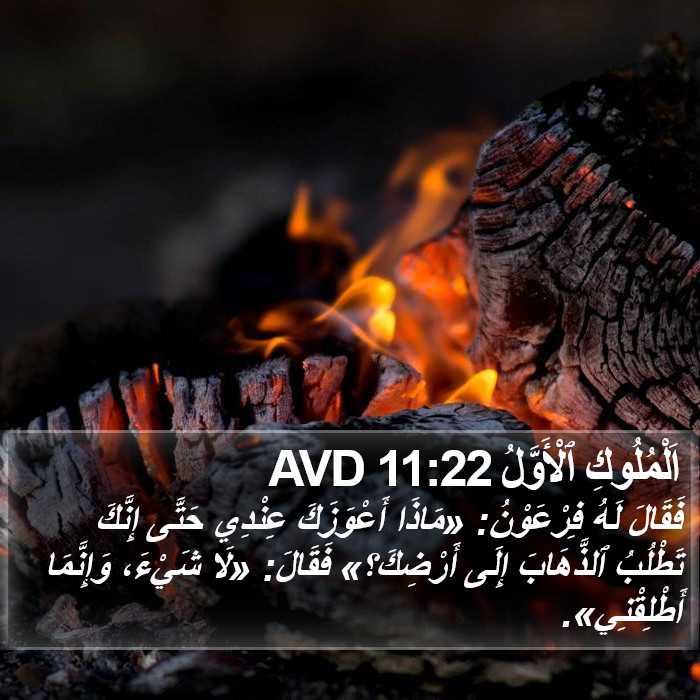 اَلْمُلُوكِ ٱلْأَوَّلُ 11:22 AVD Bible Study