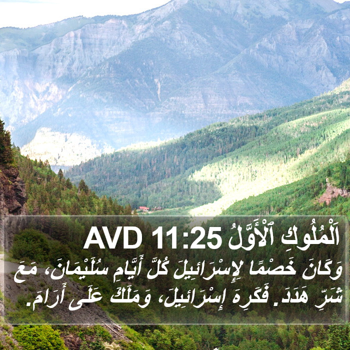 اَلْمُلُوكِ ٱلْأَوَّلُ 11:25 AVD Bible Study