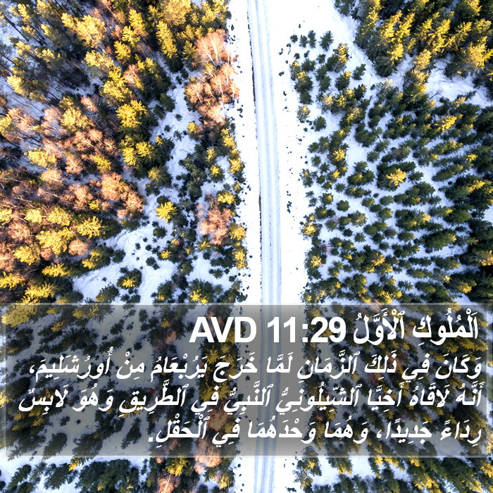 اَلْمُلُوكِ ٱلْأَوَّلُ 11:29 AVD Bible Study