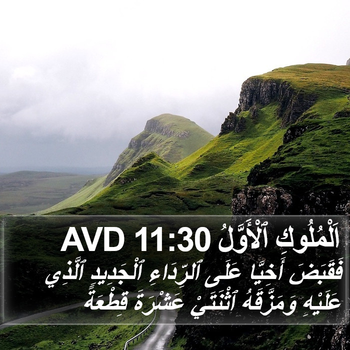 اَلْمُلُوكِ ٱلْأَوَّلُ 11:30 AVD Bible Study