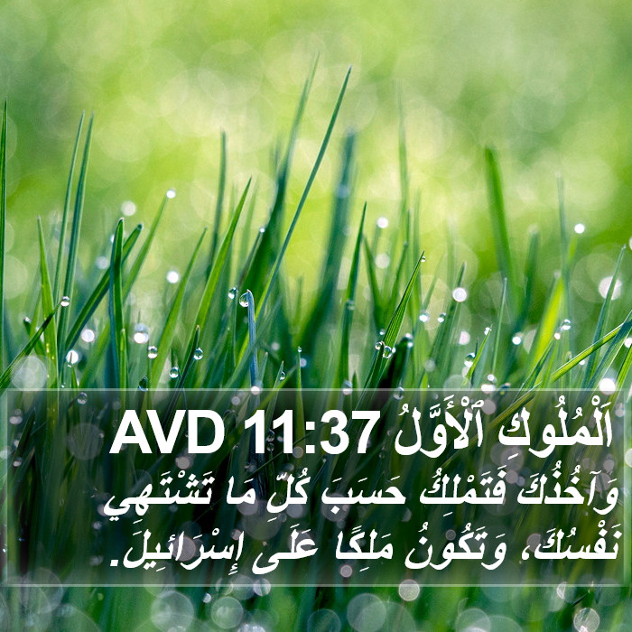 اَلْمُلُوكِ ٱلْأَوَّلُ 11:37 AVD Bible Study