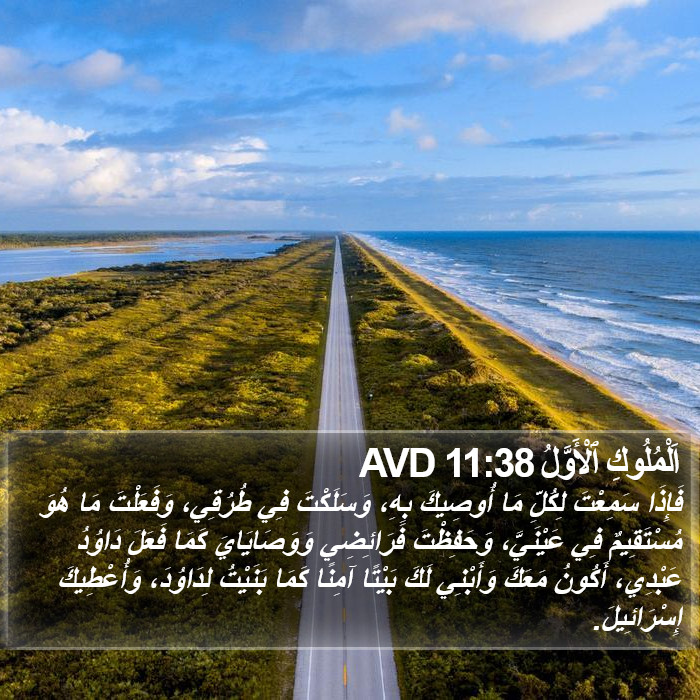 اَلْمُلُوكِ ٱلْأَوَّلُ 11:38 AVD Bible Study