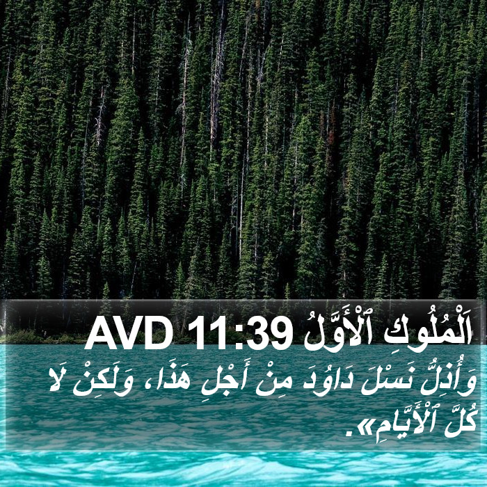 اَلْمُلُوكِ ٱلْأَوَّلُ 11:39 AVD Bible Study