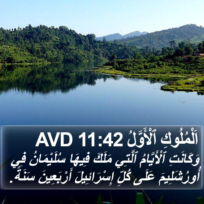 اَلْمُلُوكِ ٱلْأَوَّلُ 11:42 AVD Bible Study