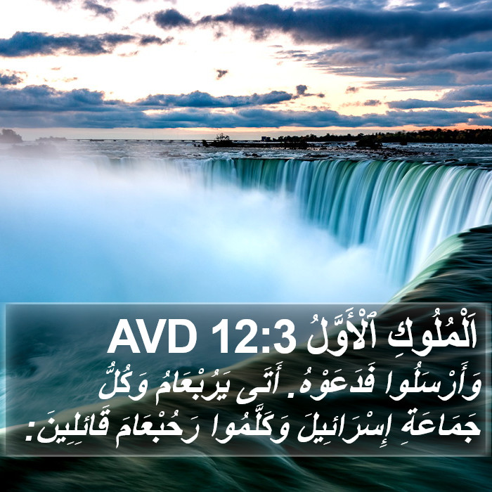 اَلْمُلُوكِ ٱلْأَوَّلُ 12:3 AVD Bible Study