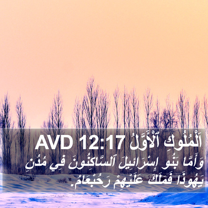اَلْمُلُوكِ ٱلْأَوَّلُ 12:17 AVD Bible Study