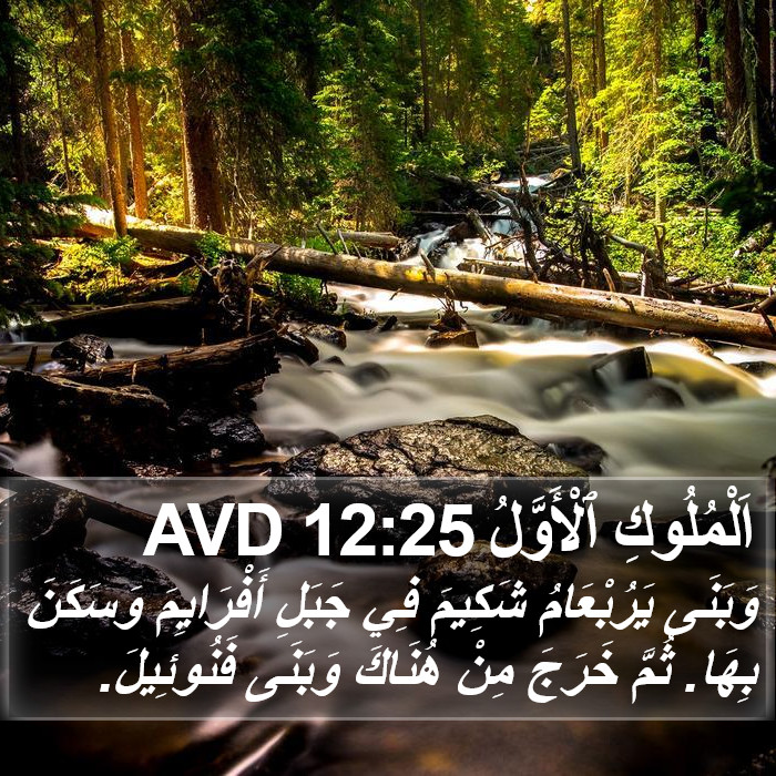اَلْمُلُوكِ ٱلْأَوَّلُ 12:25 AVD Bible Study