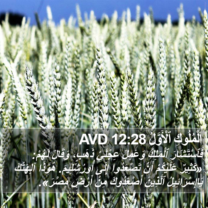اَلْمُلُوكِ ٱلْأَوَّلُ 12:28 AVD Bible Study