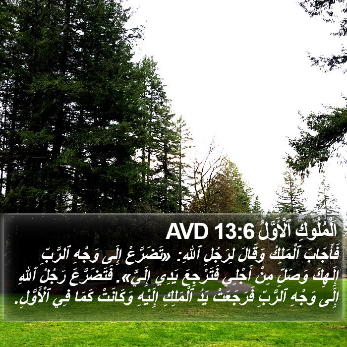 اَلْمُلُوكِ ٱلْأَوَّلُ 13:6 AVD Bible Study