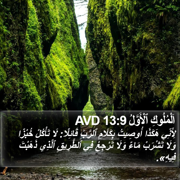 اَلْمُلُوكِ ٱلْأَوَّلُ 13:9 AVD Bible Study