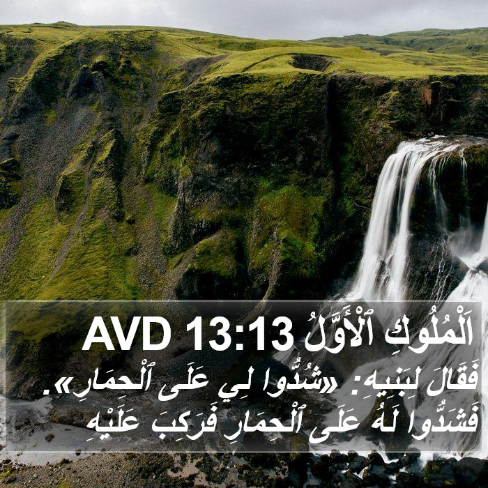 اَلْمُلُوكِ ٱلْأَوَّلُ 13:13 AVD Bible Study