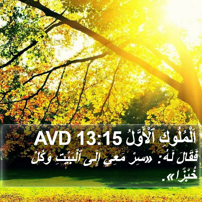 اَلْمُلُوكِ ٱلْأَوَّلُ 13:15 AVD Bible Study