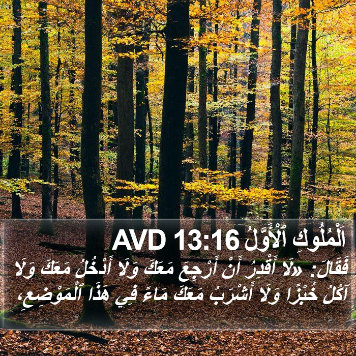 اَلْمُلُوكِ ٱلْأَوَّلُ 13:16 AVD Bible Study