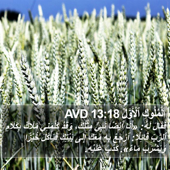 اَلْمُلُوكِ ٱلْأَوَّلُ 13:18 AVD Bible Study