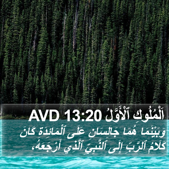 اَلْمُلُوكِ ٱلْأَوَّلُ 13:20 AVD Bible Study