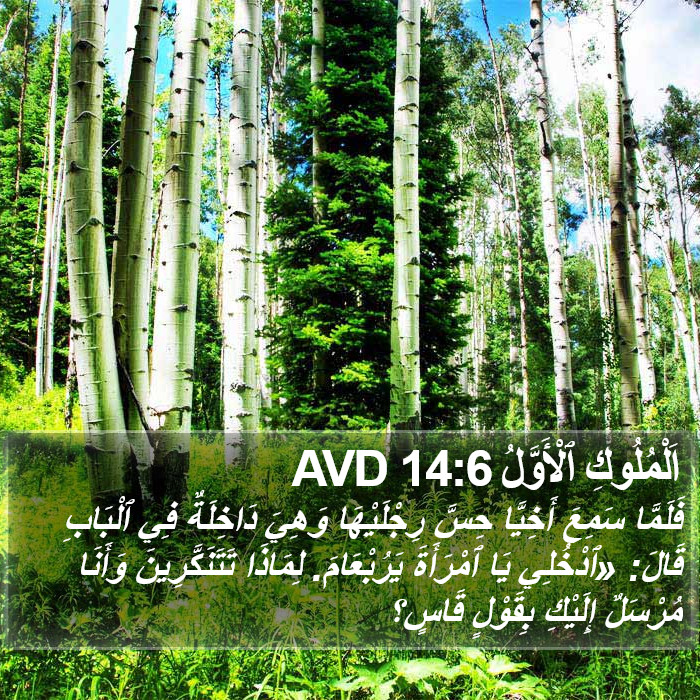اَلْمُلُوكِ ٱلْأَوَّلُ 14:6 AVD Bible Study