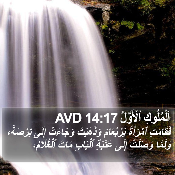 اَلْمُلُوكِ ٱلْأَوَّلُ 14:17 AVD Bible Study