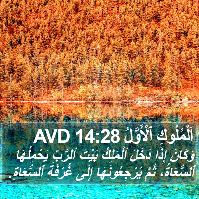 اَلْمُلُوكِ ٱلْأَوَّلُ 14:28 AVD Bible Study