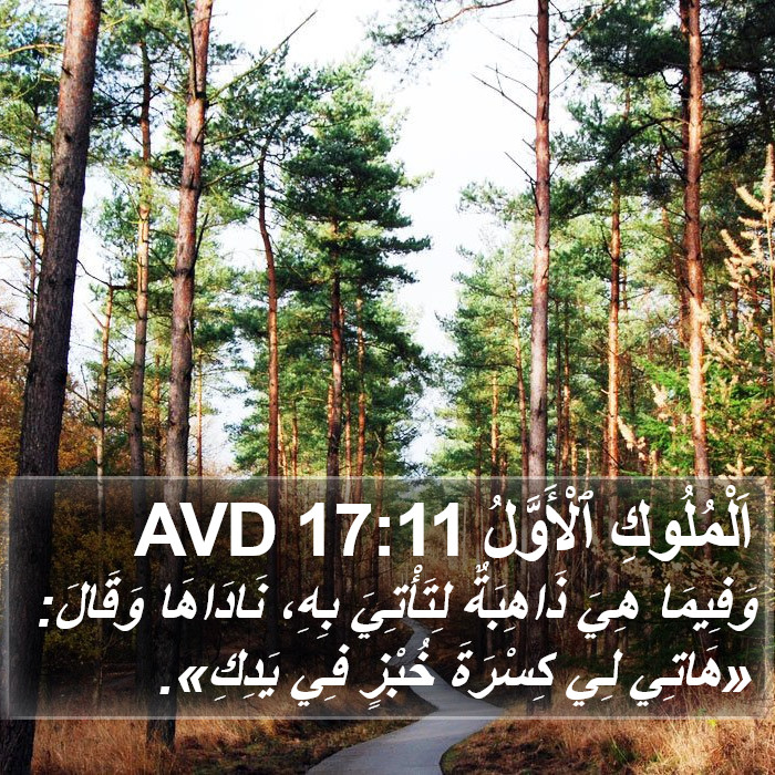 اَلْمُلُوكِ ٱلْأَوَّلُ 17:11 AVD Bible Study