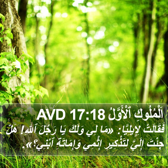 اَلْمُلُوكِ ٱلْأَوَّلُ 17:18 AVD Bible Study