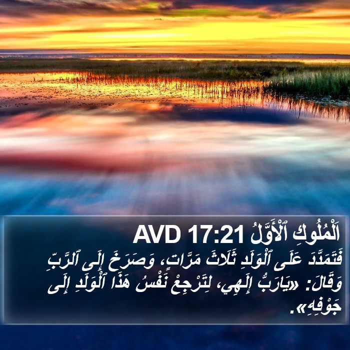 اَلْمُلُوكِ ٱلْأَوَّلُ 17:21 AVD Bible Study