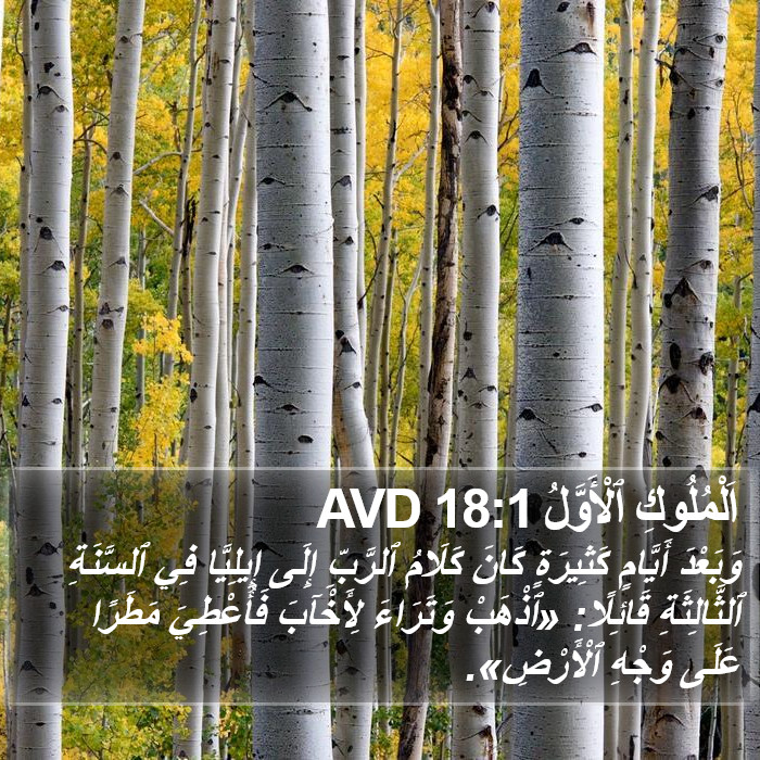 اَلْمُلُوكِ ٱلْأَوَّلُ 18:1 AVD Bible Study