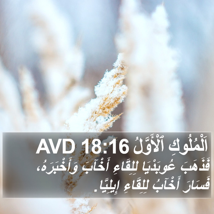 اَلْمُلُوكِ ٱلْأَوَّلُ 18:16 AVD Bible Study