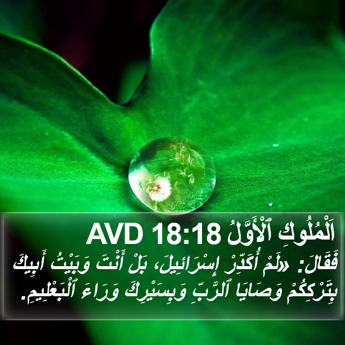 اَلْمُلُوكِ ٱلْأَوَّلُ 18:18 AVD Bible Study