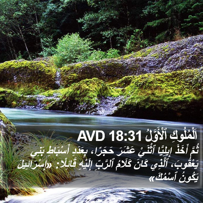 اَلْمُلُوكِ ٱلْأَوَّلُ 18:31 AVD Bible Study