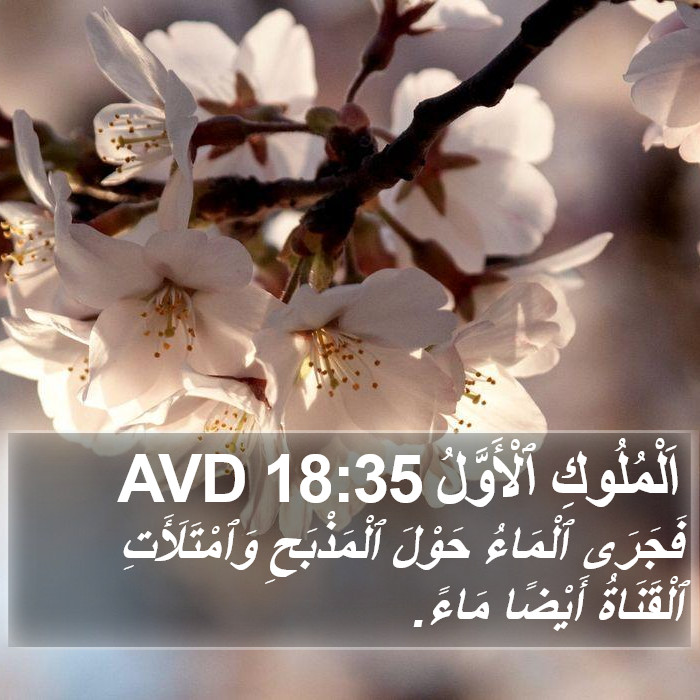 اَلْمُلُوكِ ٱلْأَوَّلُ 18:35 AVD Bible Study