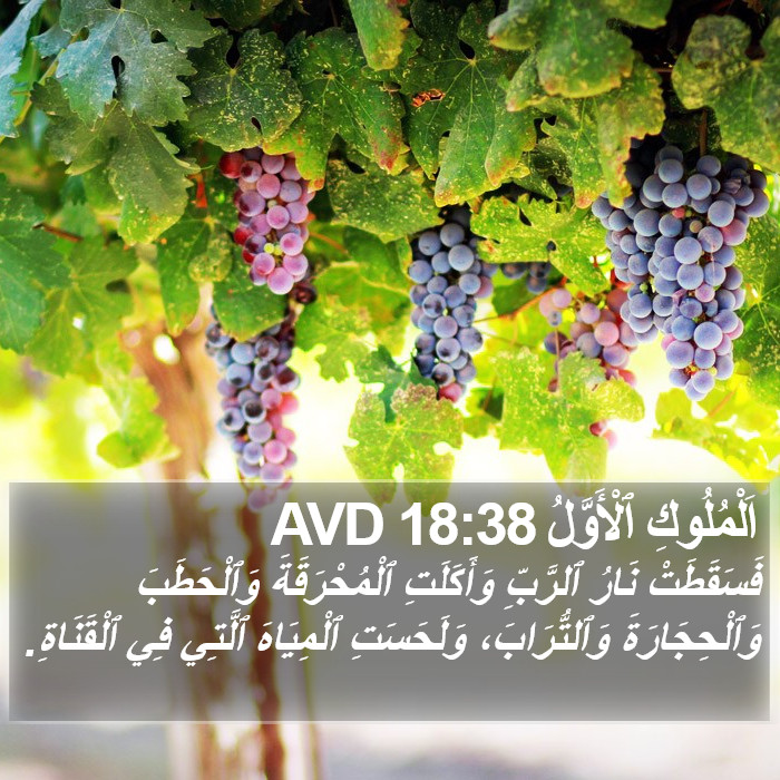 اَلْمُلُوكِ ٱلْأَوَّلُ 18:38 AVD Bible Study