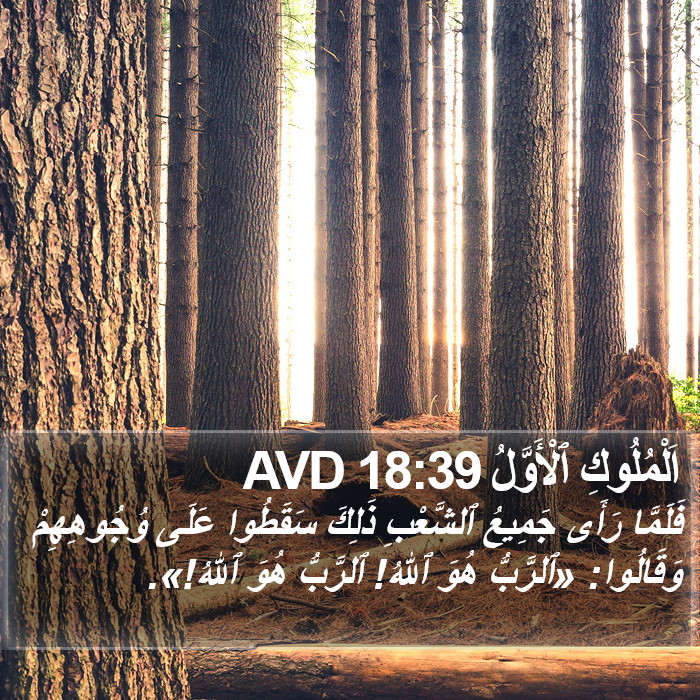 اَلْمُلُوكِ ٱلْأَوَّلُ 18:39 AVD Bible Study