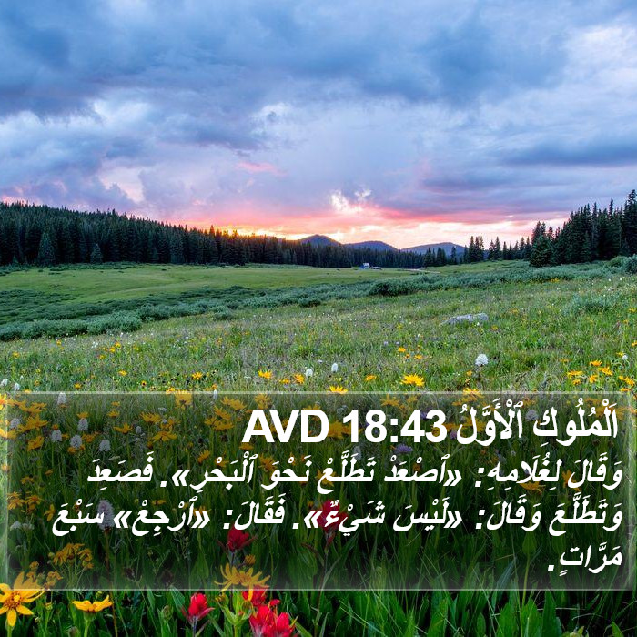 اَلْمُلُوكِ ٱلْأَوَّلُ 18:43 AVD Bible Study