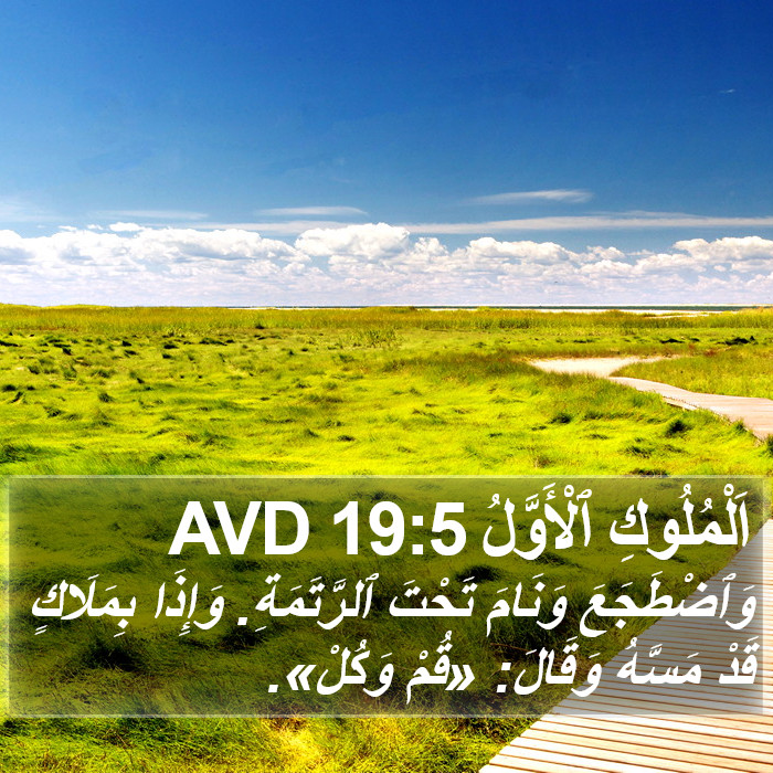 اَلْمُلُوكِ ٱلْأَوَّلُ 19:5 AVD Bible Study