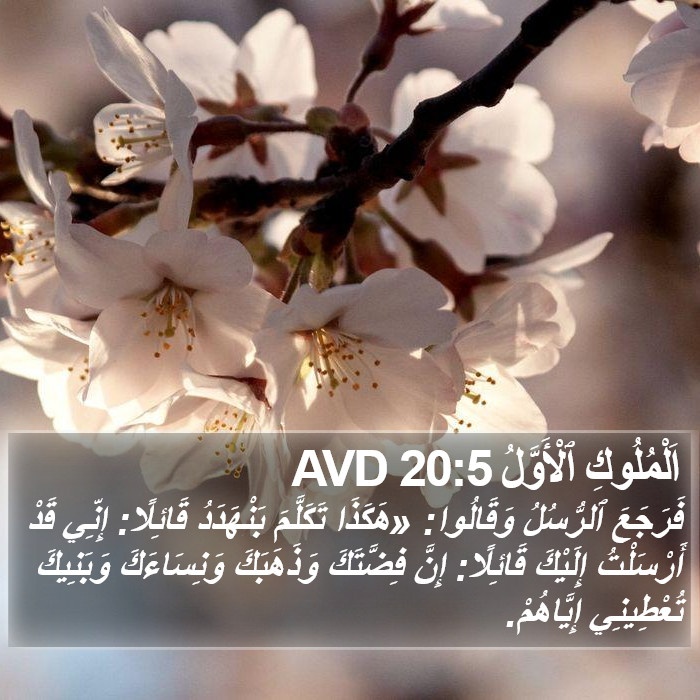 اَلْمُلُوكِ ٱلْأَوَّلُ 20:5 AVD Bible Study