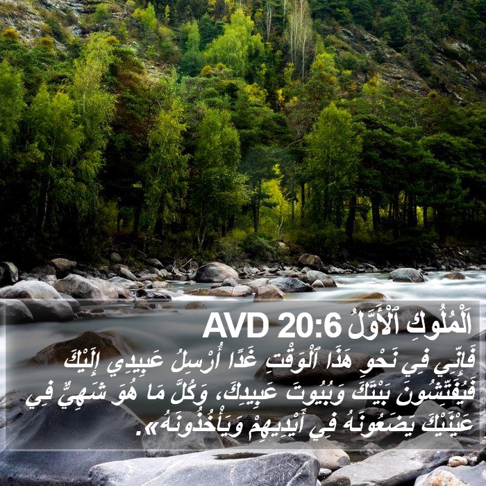 اَلْمُلُوكِ ٱلْأَوَّلُ 20:6 AVD Bible Study