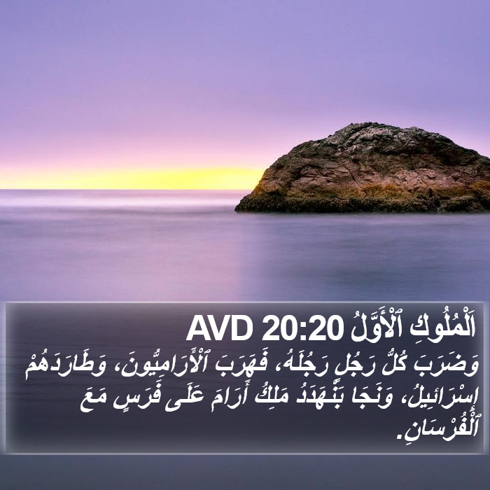 اَلْمُلُوكِ ٱلْأَوَّلُ 20:20 AVD Bible Study