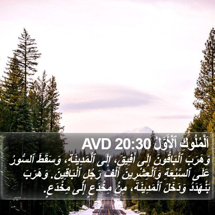 اَلْمُلُوكِ ٱلْأَوَّلُ 20:30 AVD Bible Study