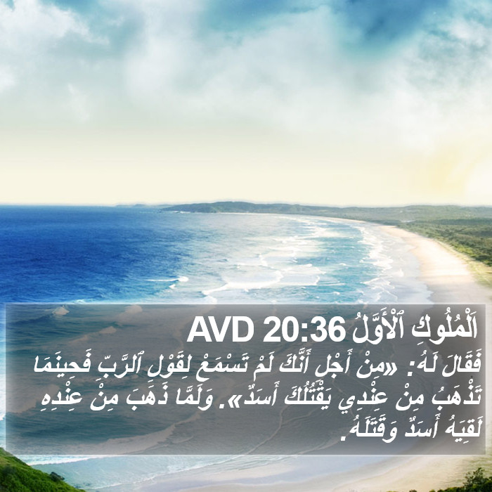 اَلْمُلُوكِ ٱلْأَوَّلُ 20:36 AVD Bible Study