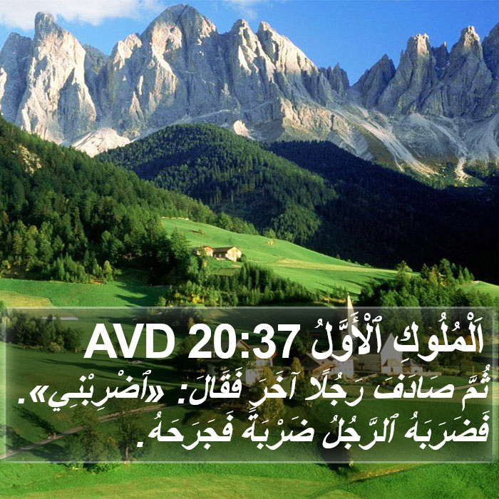 اَلْمُلُوكِ ٱلْأَوَّلُ 20:37 AVD Bible Study