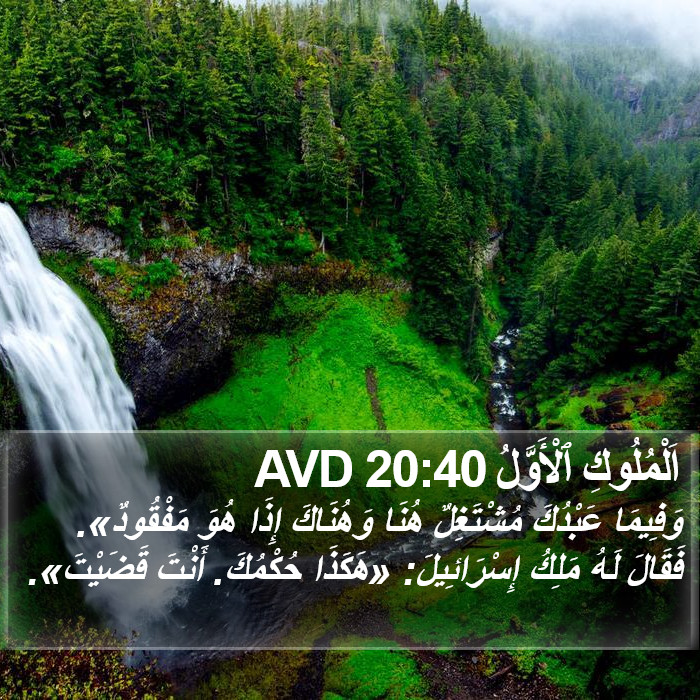 اَلْمُلُوكِ ٱلْأَوَّلُ 20:40 AVD Bible Study