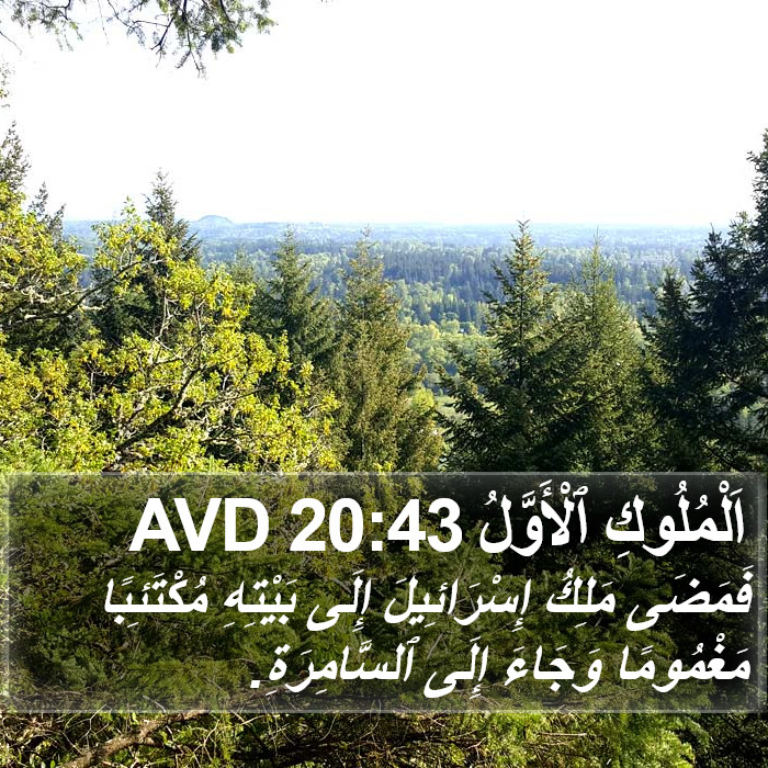 اَلْمُلُوكِ ٱلْأَوَّلُ 20:43 AVD Bible Study