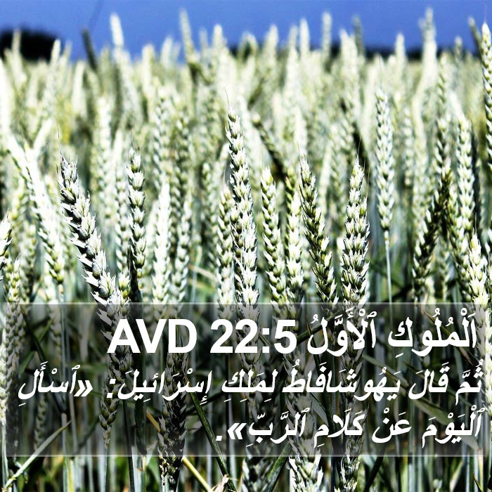 اَلْمُلُوكِ ٱلْأَوَّلُ 22:5 AVD Bible Study